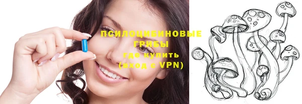 стафф Киреевск