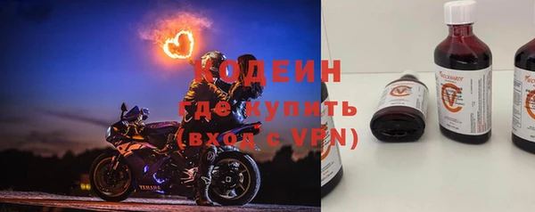 гидра Карпинск