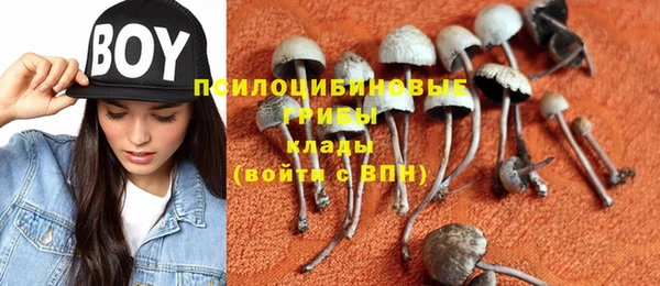 ПСИЛОЦИБИНОВЫЕ ГРИБЫ Кинешма