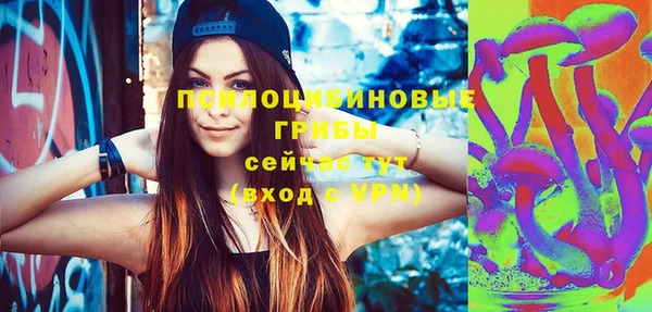 ПСИЛОЦИБИНОВЫЕ ГРИБЫ Кинешма
