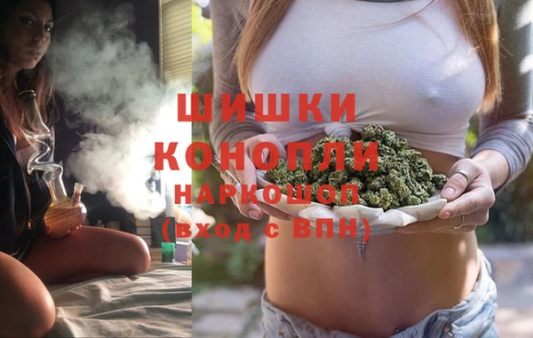 гидра Карпинск