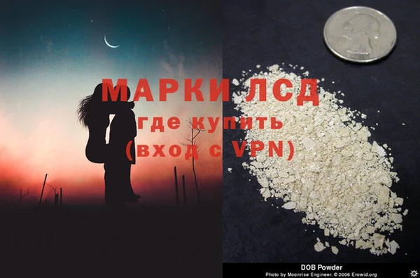 гидра Карпинск